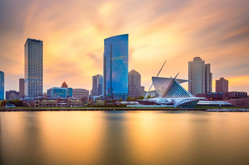 Yellowjacket Extermination in Milwaukee, WI
