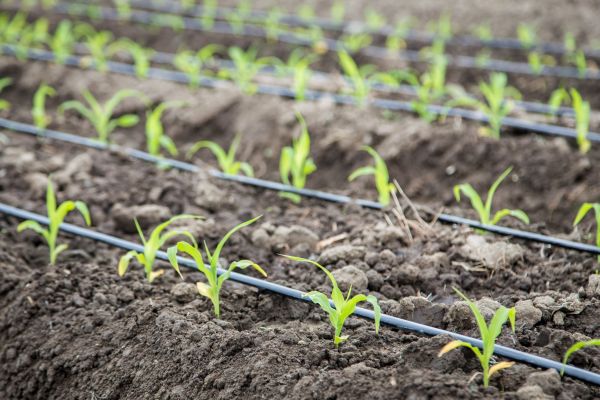 Irrigation Repair Service