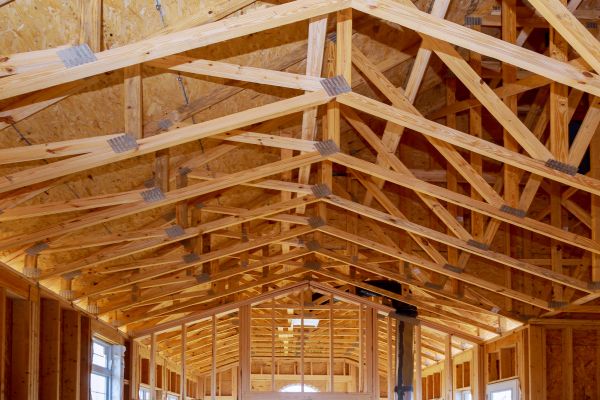 Interior Framing