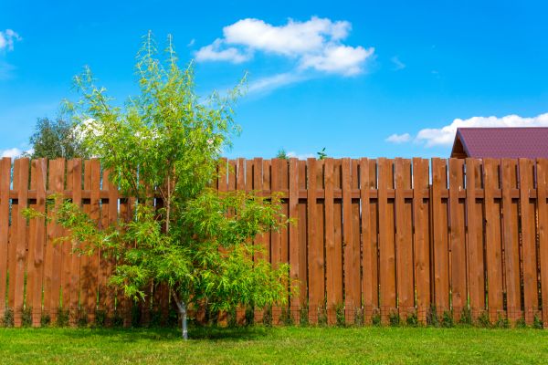 Fencing And Gates Service
