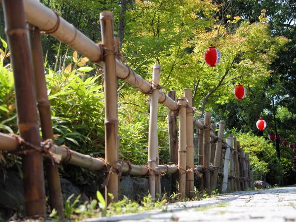 Bamboo Fence Installation Service