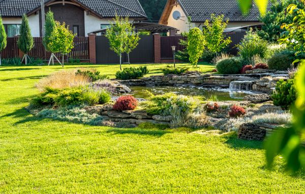 Outdoor Space Restoration