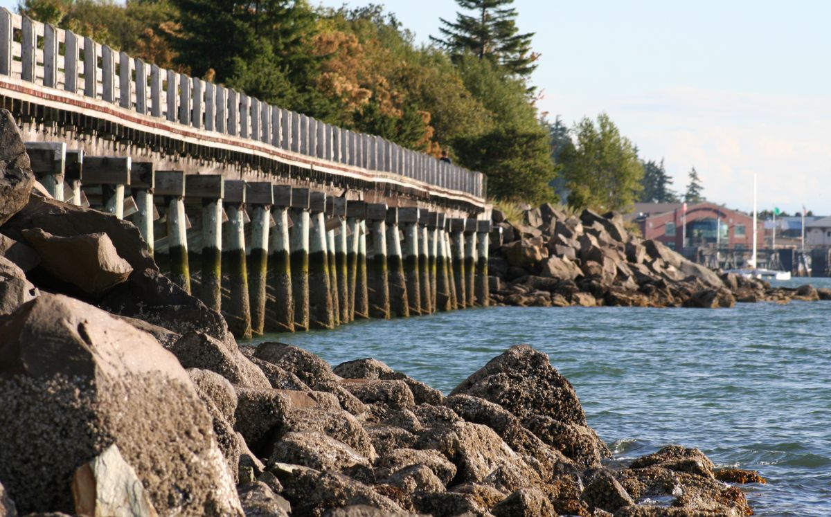 Bellingham, WA